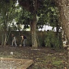Filename=556.jpg
Filesize=459KiB
Dimensions=1920x1080
Date added=May 07, 2025 556.jpg