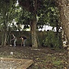 Filename=558.jpg
Filesize=454KiB
Dimensions=1920x1080
Date added=May 07, 2025 558.jpg