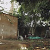 Filename=570.jpg
Filesize=362KiB
Dimensions=1920x1080
Date added=May 07, 2025 570.jpg