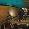 Filename=011.jpg
Filesize=257KiB
Dimensions=1920x1080
Date added=Sep 15, 2025 011.jpg