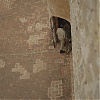 Filename=260.jpg
Filesize=208KiB
Dimensions=1920x1080
Date added=Aug 04, 2025 260.jpg