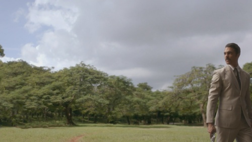 113.jpg