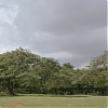 112.jpg
