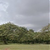 113.jpg